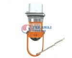 日本daiwadengyo大和電業(yè)SPT-11-H安全鎖安全插銷安全門防護(hù)插扣